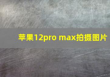 苹果12pro max拍摄图片